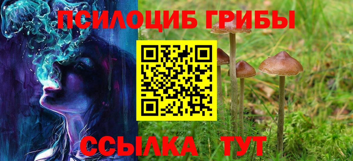 Псилоцибиновые грибы ЛСД Мончегорск