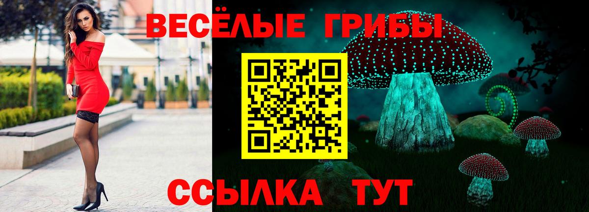 Псилоцибиновые грибы Magic Shrooms  Вход с VPN  цены наркотик  Мончегорск 